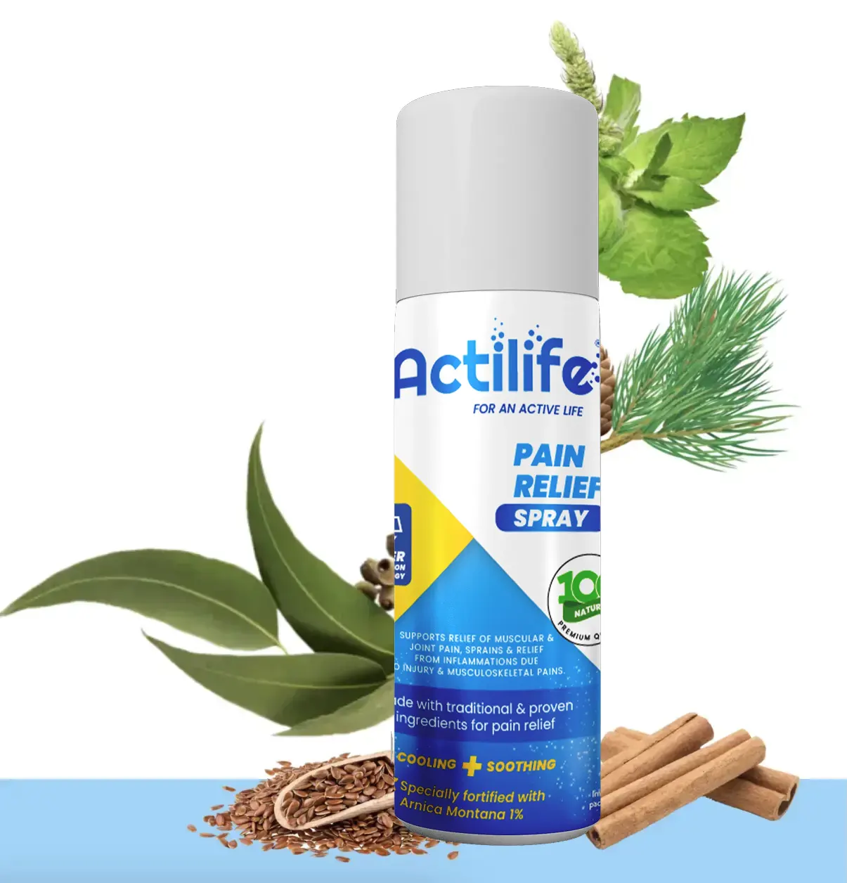 ACTILIFE PAIN RELIEF  SPRAY 1'S